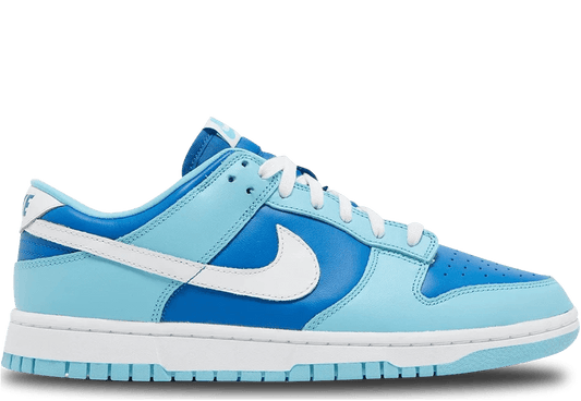 Nike Shoes Nike Dunk Low Retro QS Argon (2022)